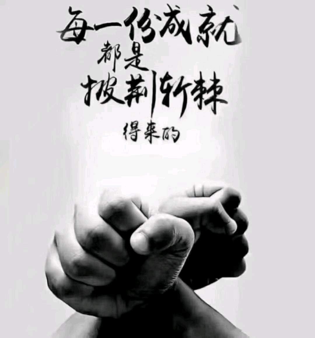 王先生其他供需拍店采集调研，简单易操作，小白也能轻松上手，多账号操作一天*