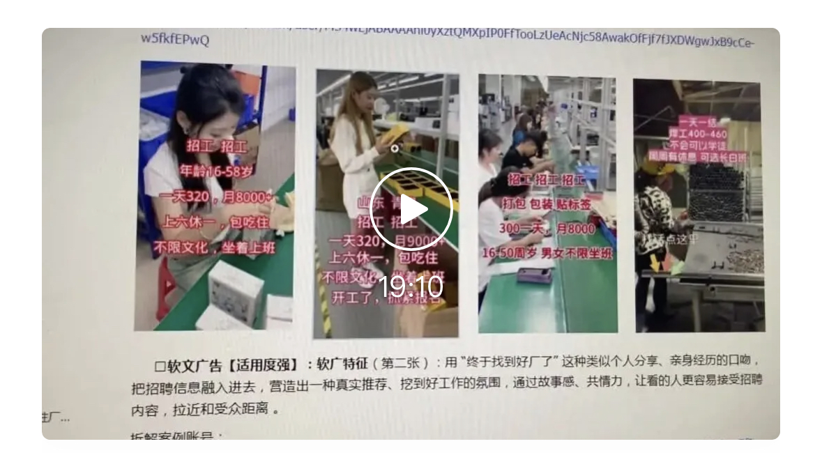 汪洋其他供需蝴蝶人力-就业赛道长期稳定