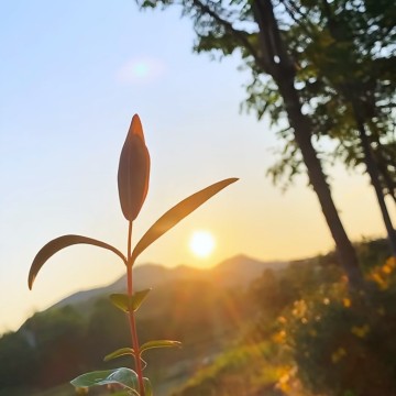 u客直谈实名认证赖女士