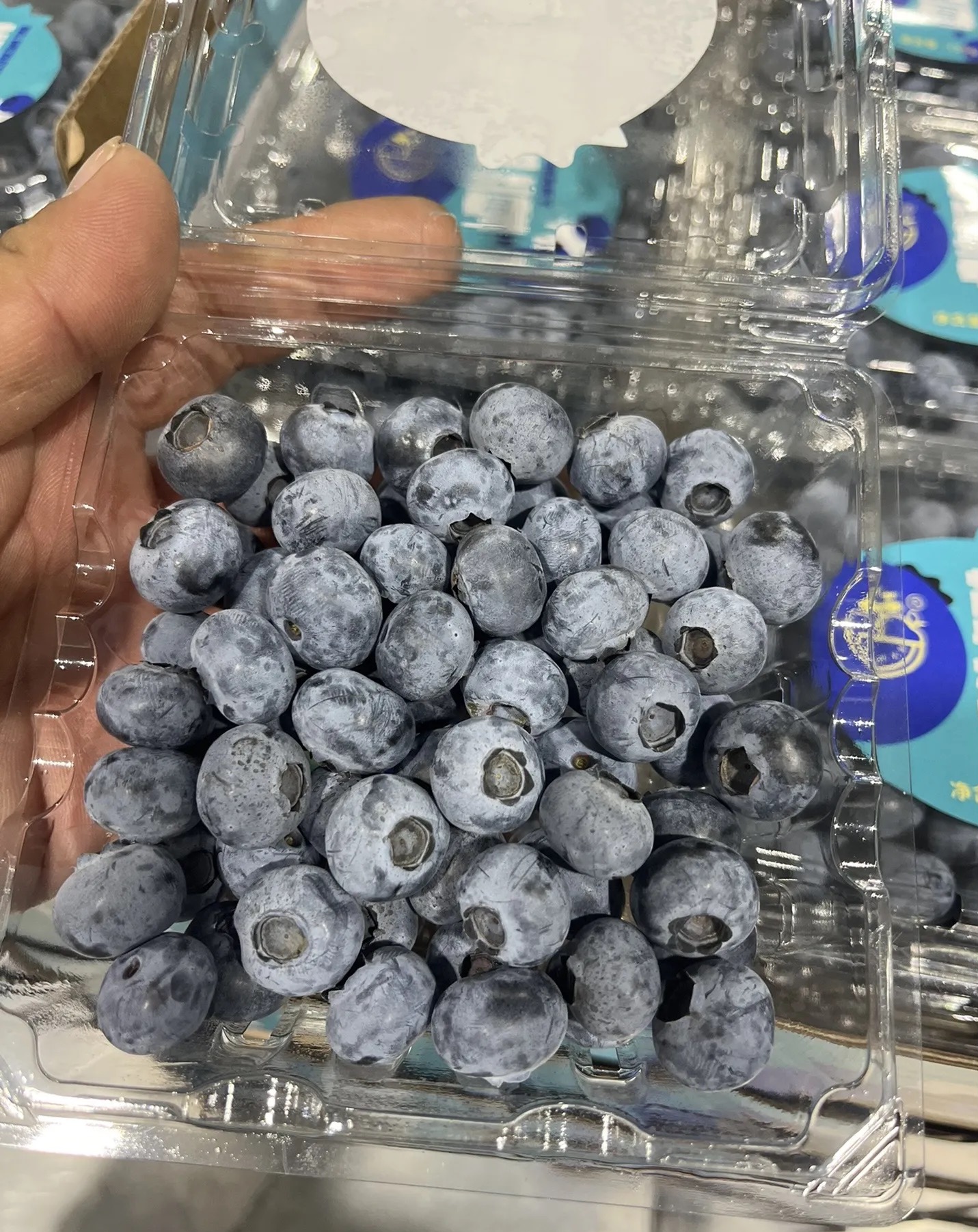 刘先生云南蓝莓基地直供L25等品种，盒装桶装一件代发