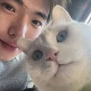 杜盈辉