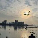 黄志锋