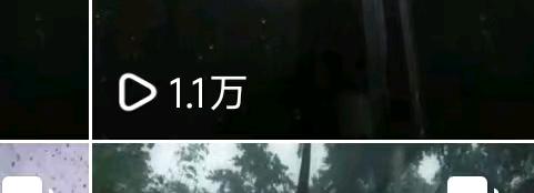 陈女士其他供需