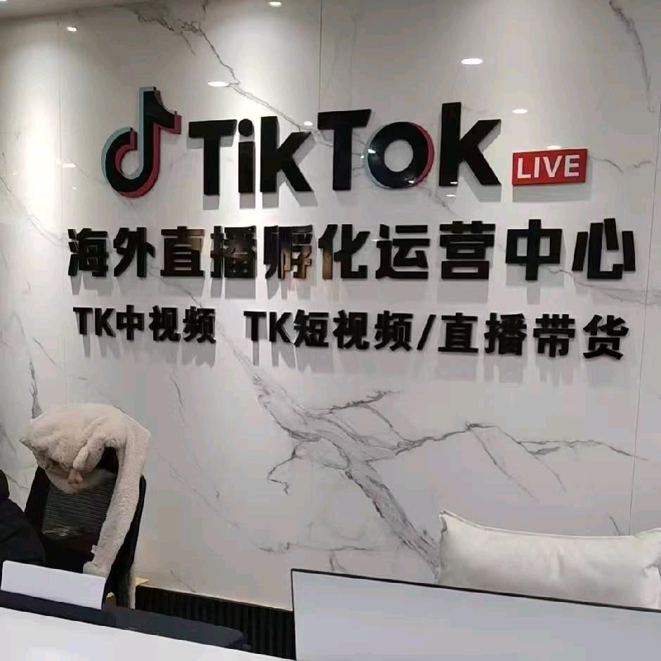 罗依萌其他供需海外短视频TK招募合伙人