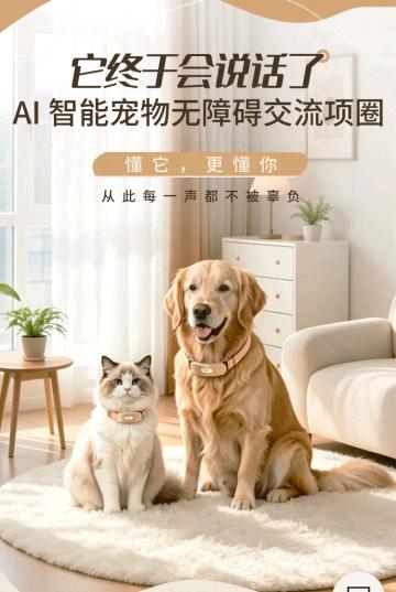 贺超地推项目