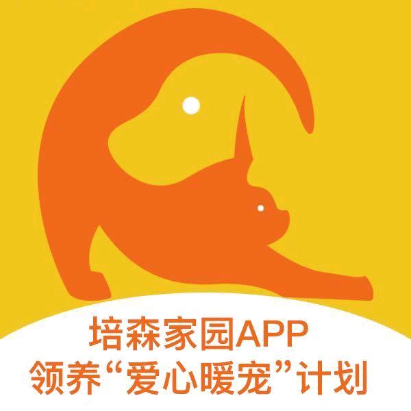 张女士