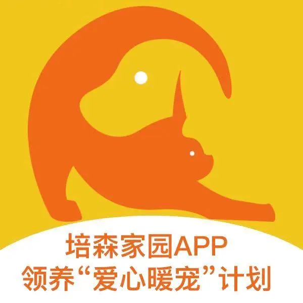 张女士