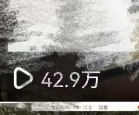 聂金丽找合伙人