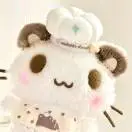 朱先生