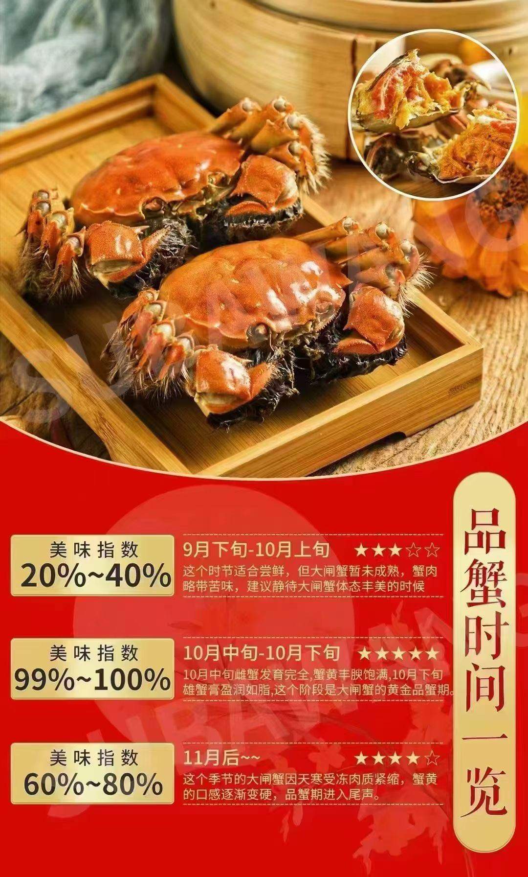 周林栋品牌货源