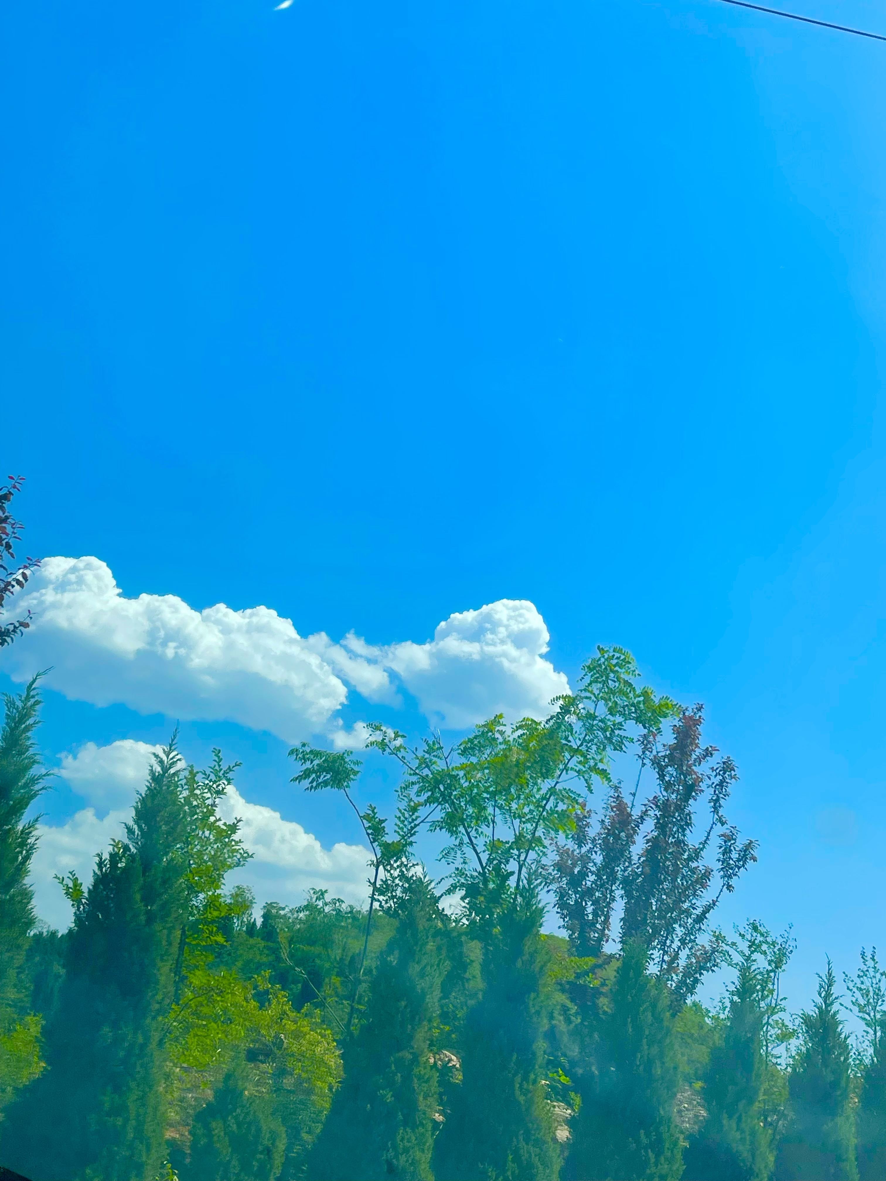 王森找合伙人零基础 AI 直播掘金项目