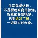 朱先生