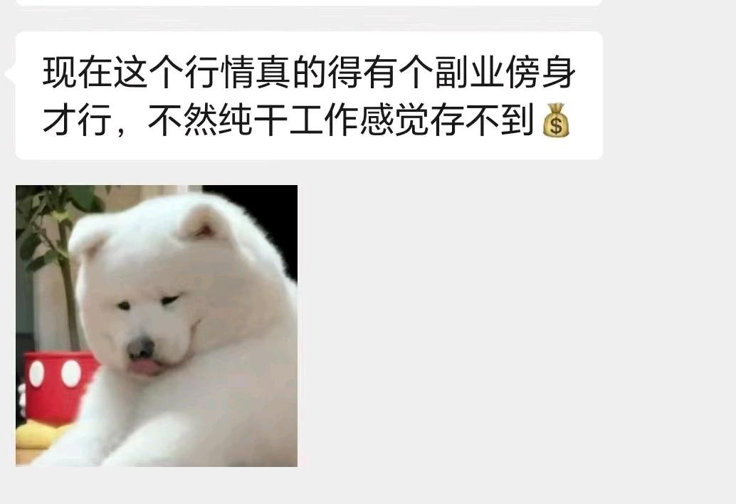 陈杰宇推文副业全职意向合作