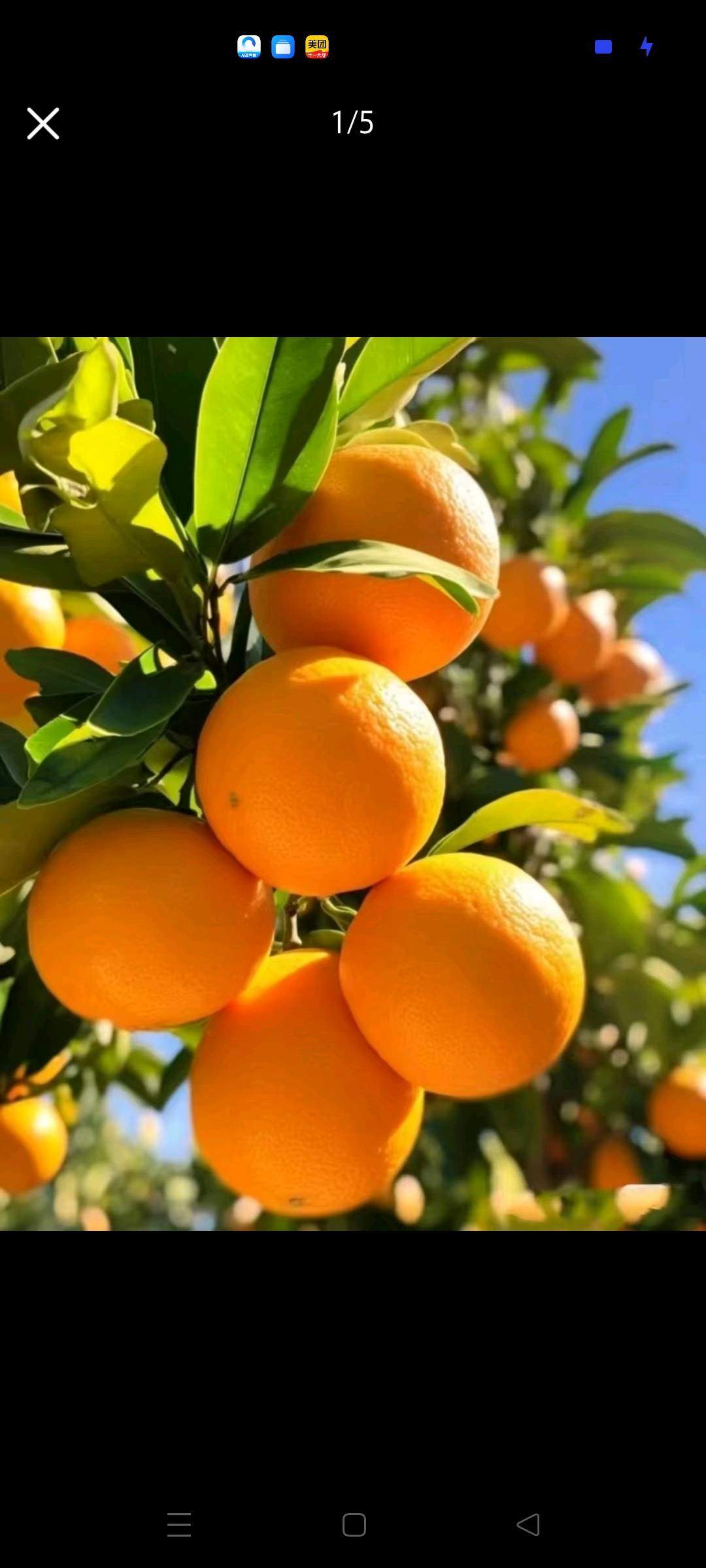 王妮异业合作优质农产品找异业合作