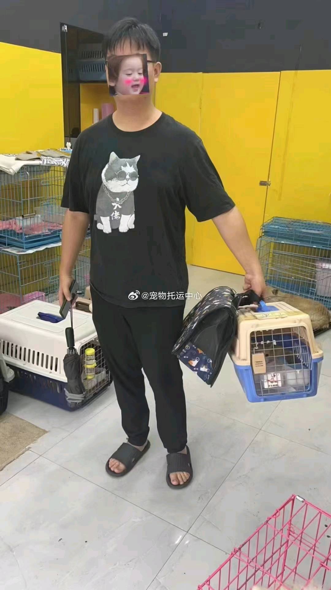 张先生找合伙人全国宠物托运服务，线上线下都可以做