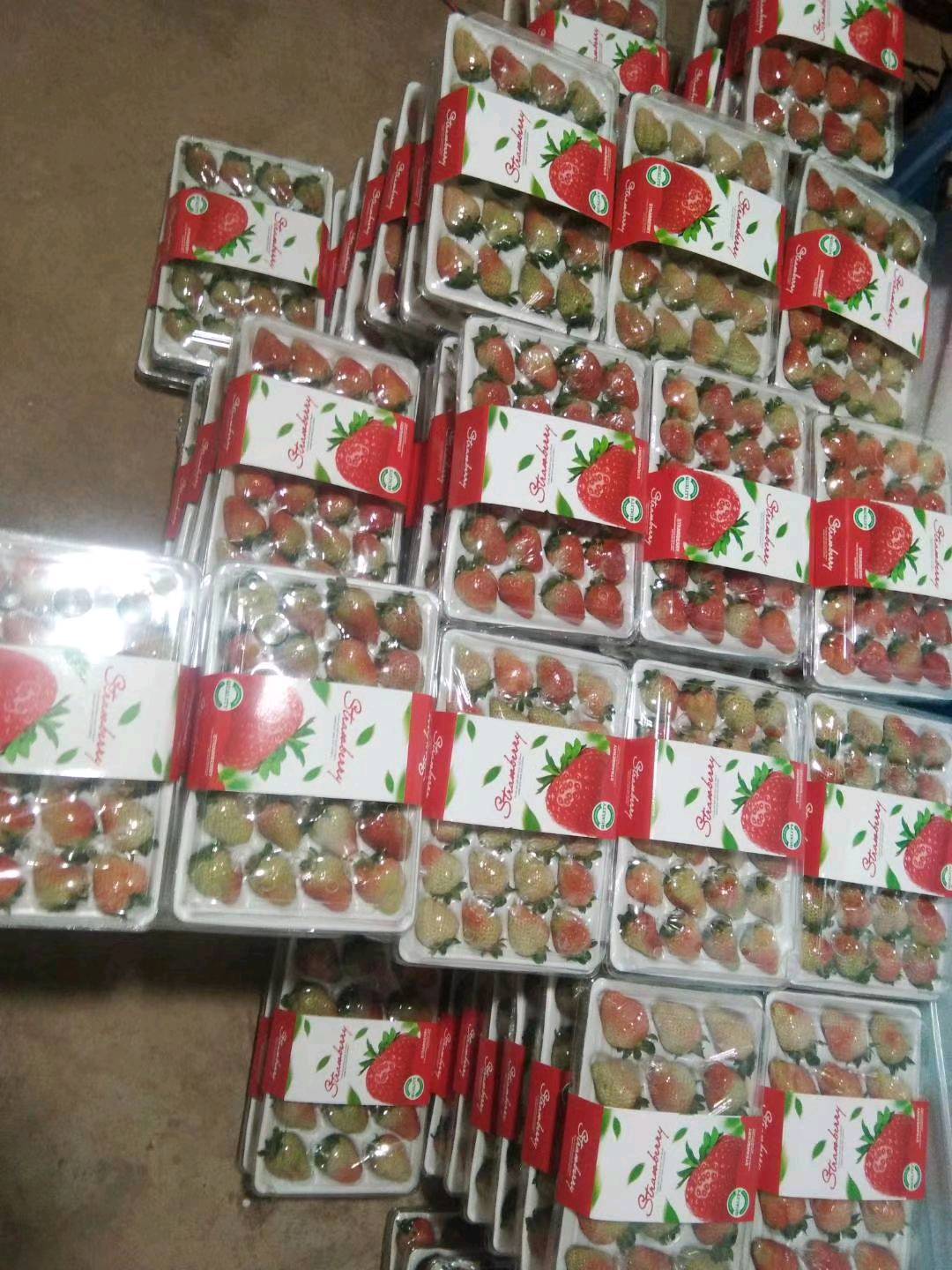 崔先生品牌货源