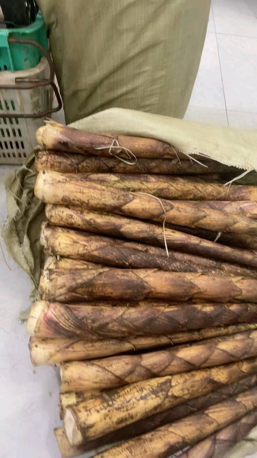梁波品牌货源方竹笋销售