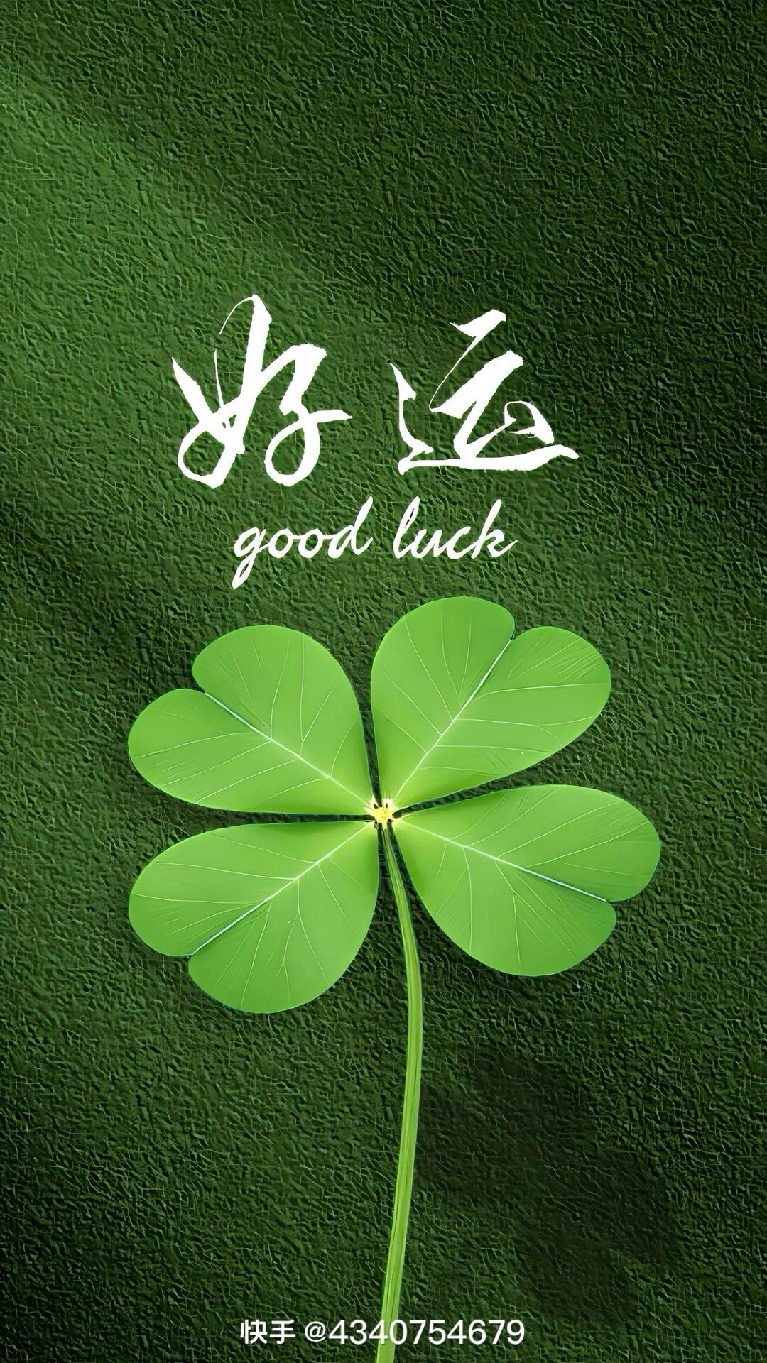 夏先生其他供需寻找健康行业创业者