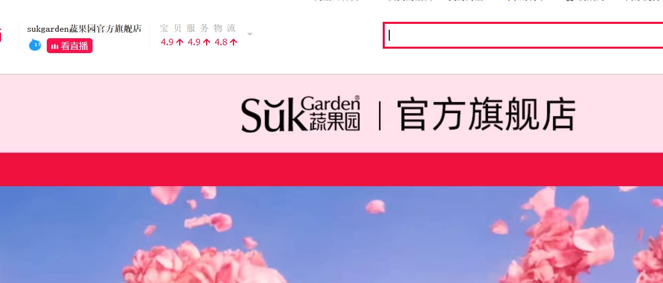 丁先生品牌货源