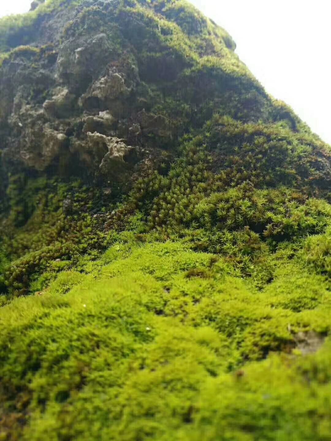马先生优质甲方自有资金，寻求项目，民生刚需优先资金，10-500左右具体看项目，面谈
