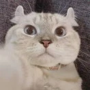 u客直谈实名认证袁先生