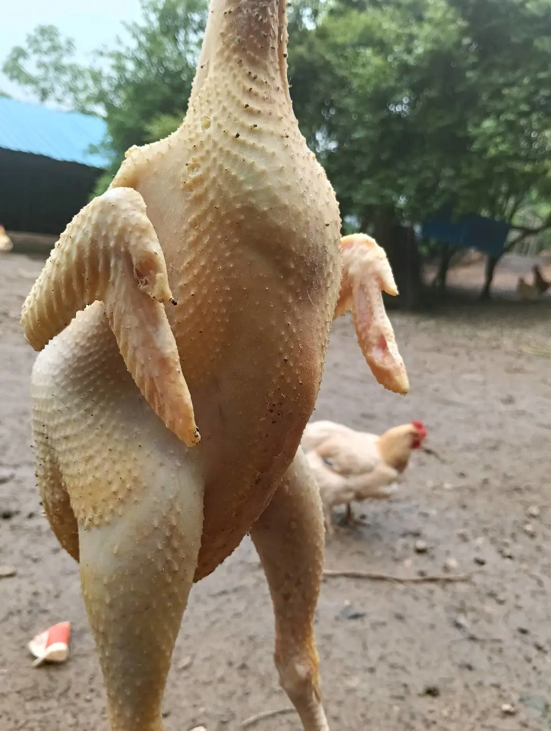 肖先生品牌货源