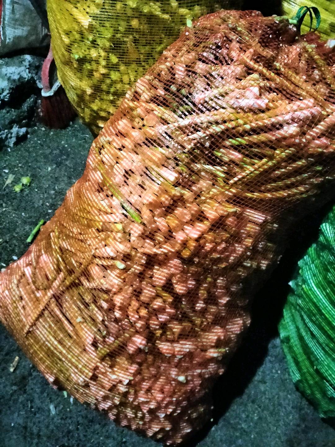 梁波方竹笋销售
