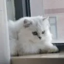徐先生