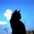 u客直谈武文博