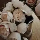 冯琴