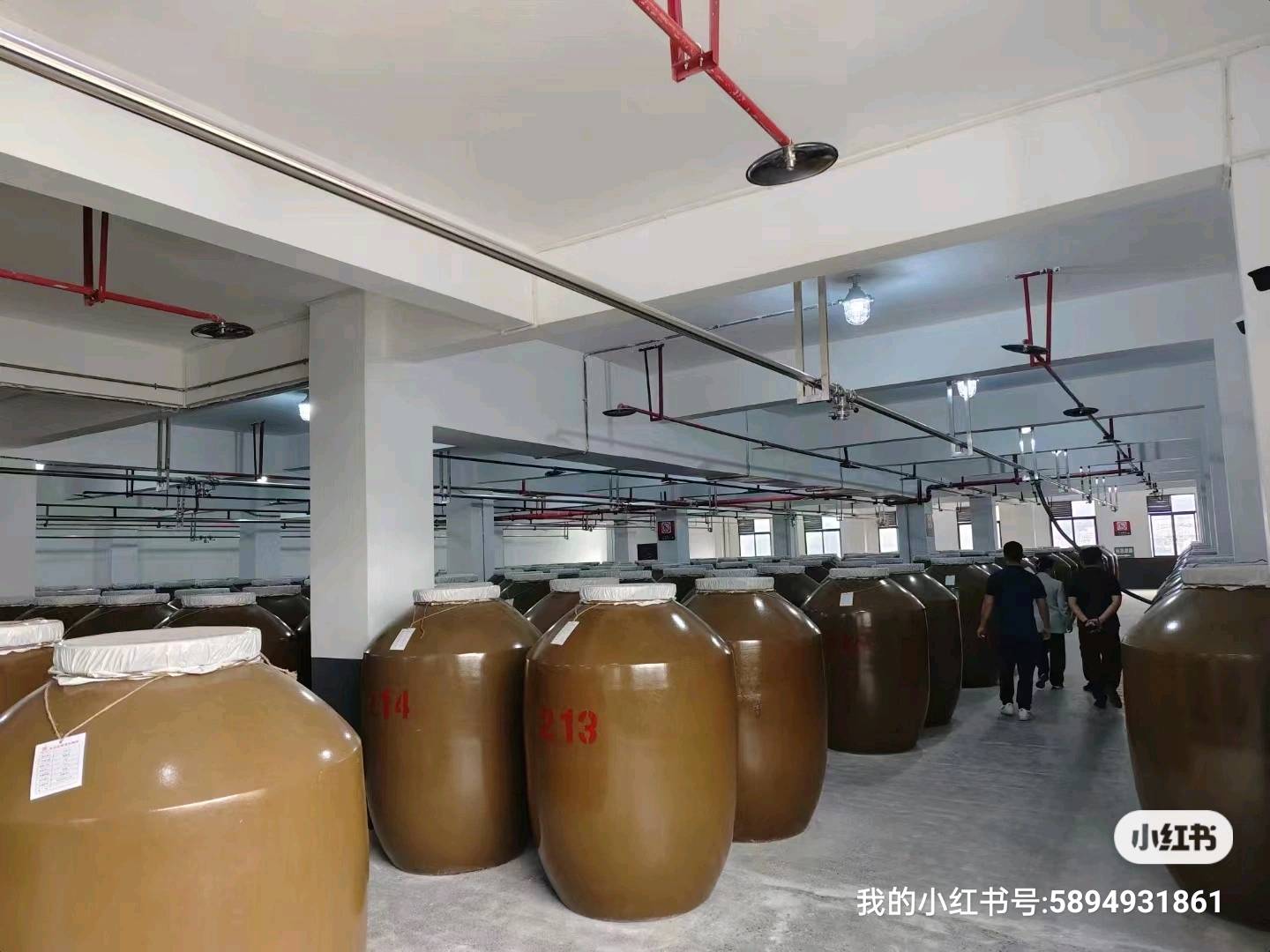 李先生品牌货源