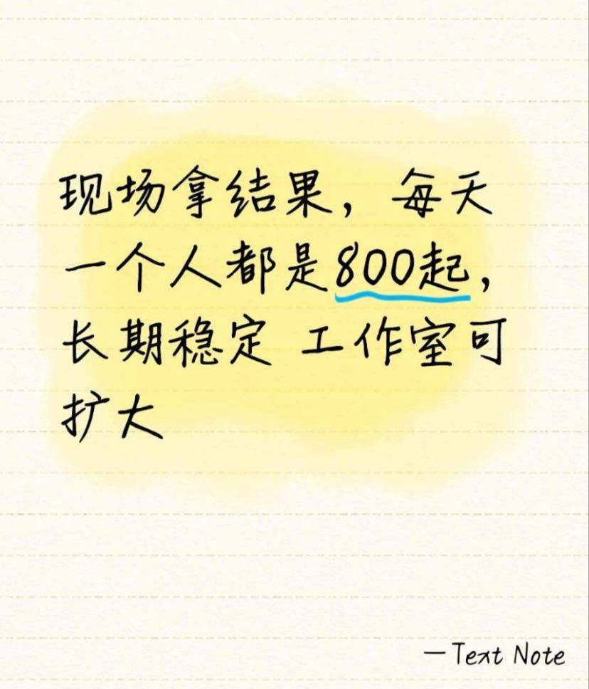 王先生找合伙人Ai云物流调度项目，日收入*