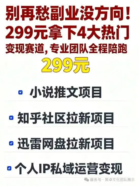 李丽华小说推文 找推广合伙人