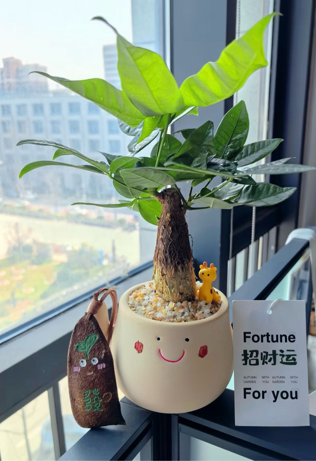 黄采奕找合伙人