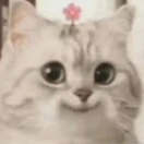 u客直谈实名认证韩先生