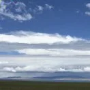 唐先生