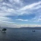 杨先生