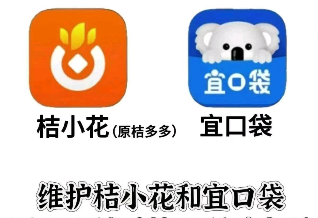 李女士其他供需***副业，桔小花/宜口袋项目，全程一对一指导