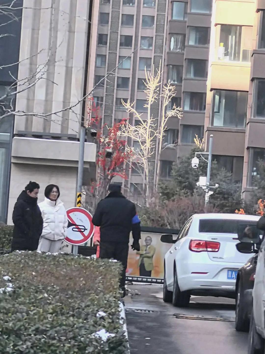 石力华地推项目蚂蚁阿福