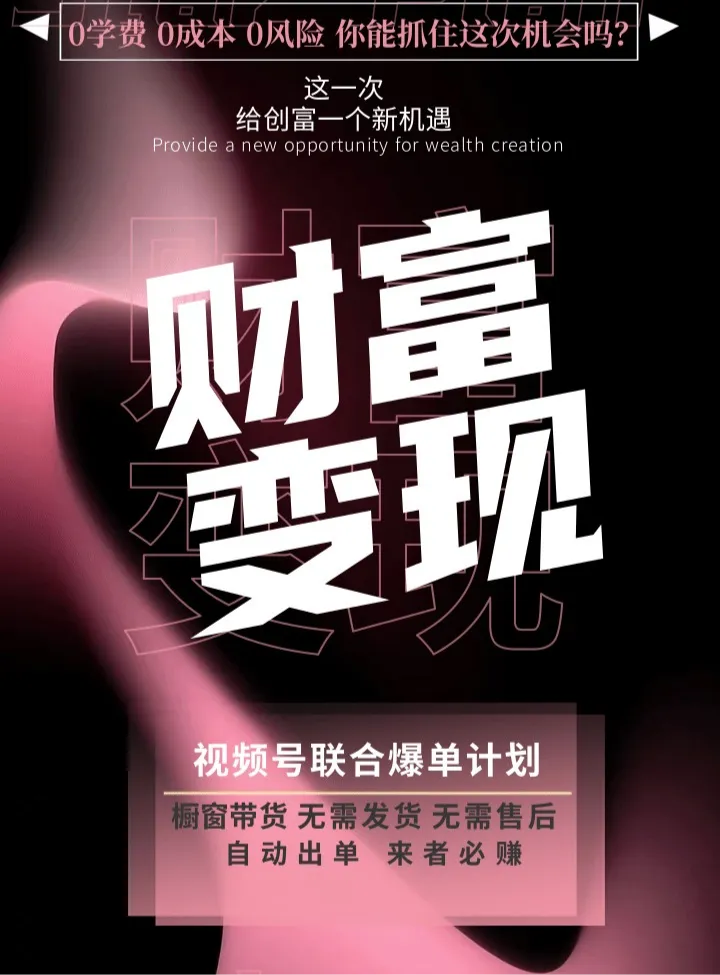 王先生其他供需视频号带货合伙人,0费用分佣模式 曰结