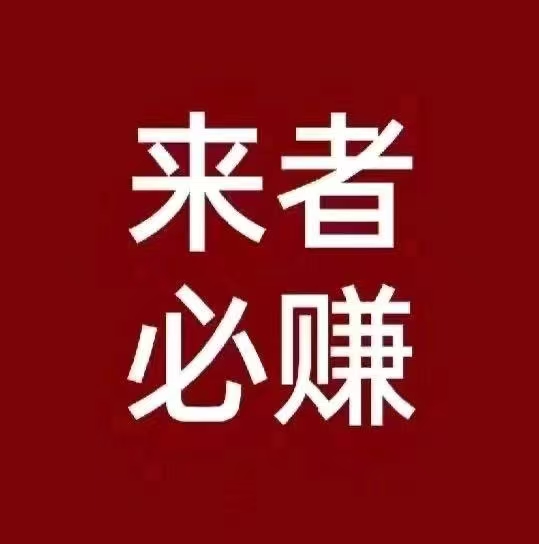 何国徽新服开服组队！游戏搬砖，收益日结，长期稳定，2/8分成