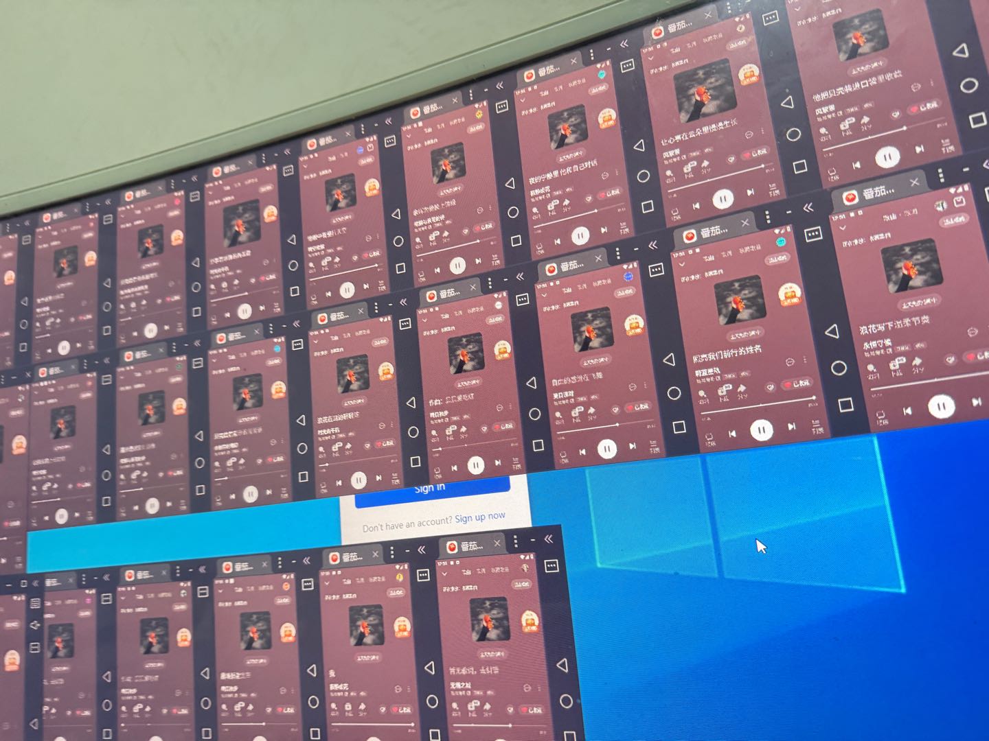 陈女士找合伙人番茄音乐人项目 