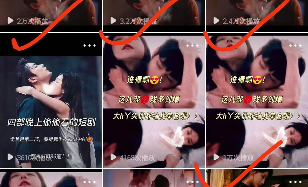 雷女士小说推文全新玩法，单号日稳定*，可矩阵放大，佣金日结