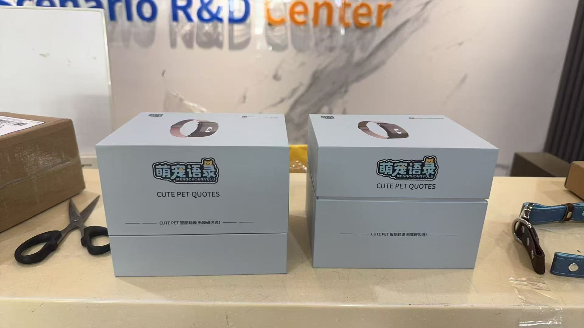 王佑文全新项目，人宠智能无障碍交流项圈