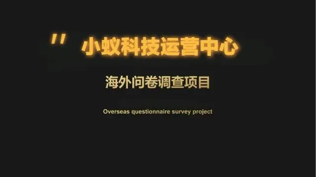 纪先生找合伙人海外问卷合作,免费教学,月入*