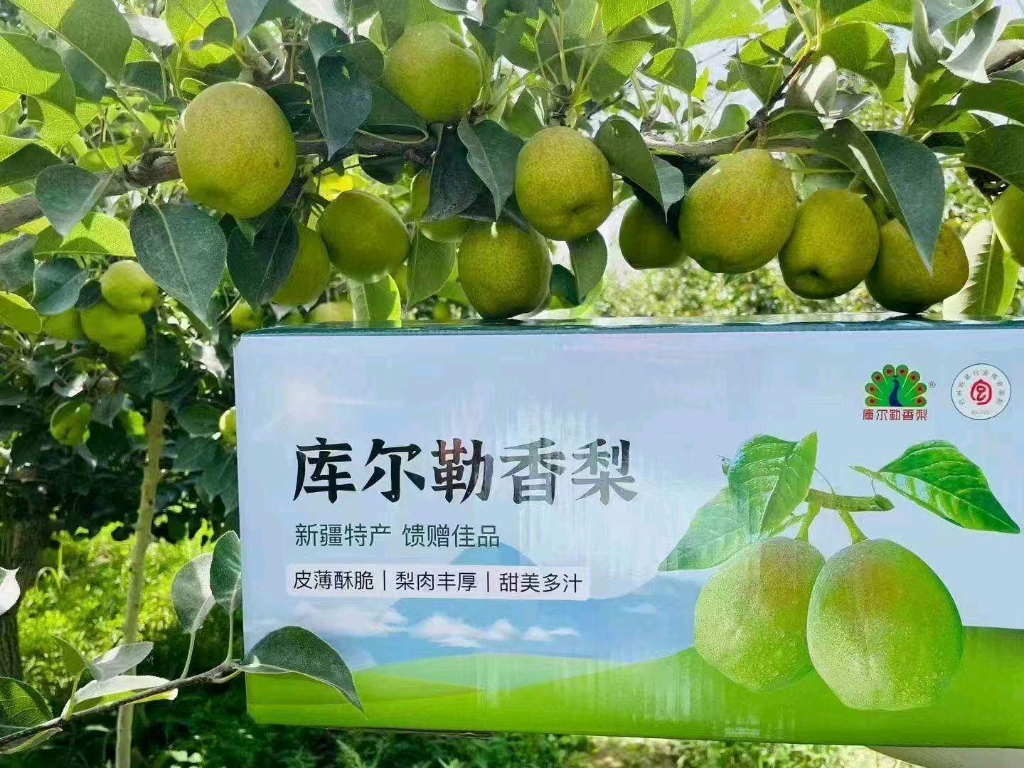 宋女士品牌货源