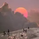 卫钜涛