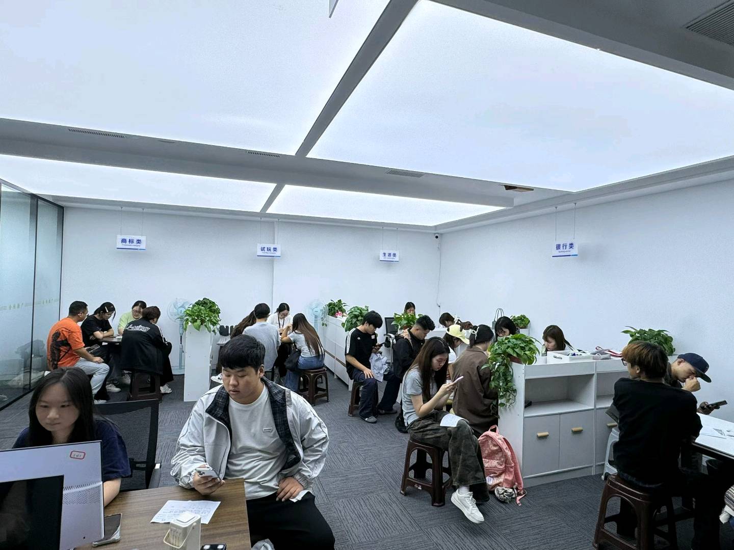 盛女士找合伙人app拉新工作室+新媒体劳务+自家单子+商标
