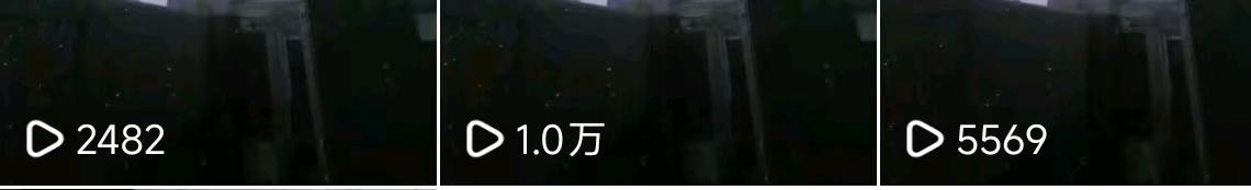 陈女士寻找小说推文项目合作方，提供官方授权与保姆级培训教学