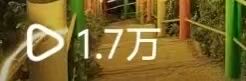 吴珊其他供需